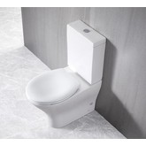 Унитаз компакт BelBagno Acqua BB340CPR безободковый микролифт