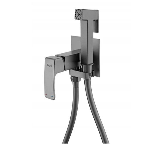 Гигиенический душ Raglo R02.54 графит