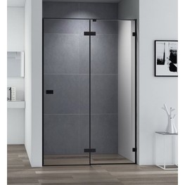 Душевая дверь Cezares Bellagio B 12 100 см черный матовый прозрачное стекло 